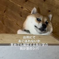 目がバキバキで草