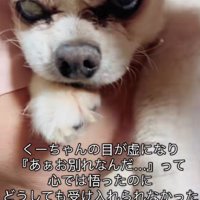 徐々に目が虚ろに…