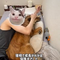 添い寝で寝るラッキーくん