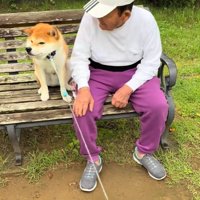 絶対に動かないコタロウくん