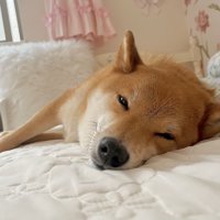 ぐっすり