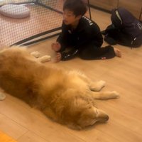 遊びに付き合ってくれることも