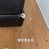 破壊されたベッド