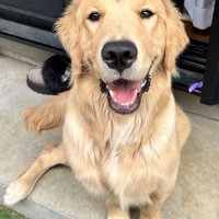ニコニコ