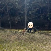 吠える大型犬