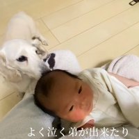 人の温かさを知った