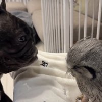 優しいまなざし