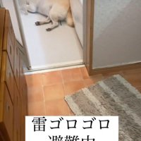 お風呂場にいた！！