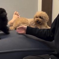 みきちゃんに注意することも