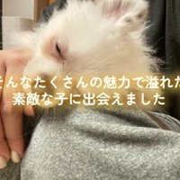 たくさんの魅力を発見
