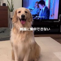 視界をジャック