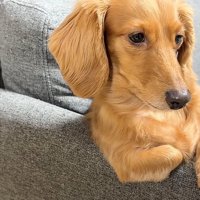 ひじ掛けを使う凪ちゃん