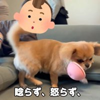 全然怒りません！