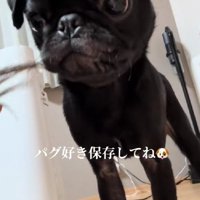 唯一無二なチャームポイント