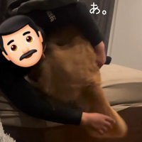 パパが手伝ってくれた♪