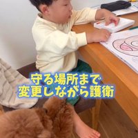 男の子を心配するレオくん7