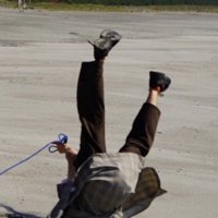 プットくんと海辺を走ったら2