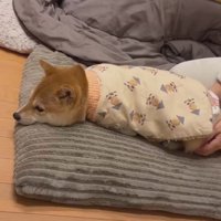 不服そうな顔にクスッ