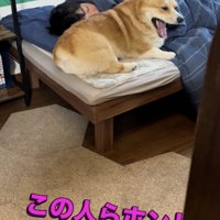 どぁーー！
