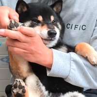 険しい表情で耐えています