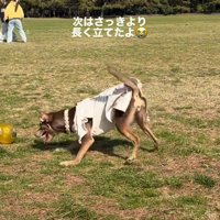 自分だけで歩き出した！