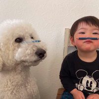 鼻の頭に鉛筆を載せる