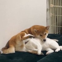 くっついてリラックス中♪