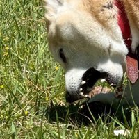 今のまめちゃんは幸せいっぱい！