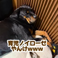 育児に疲れることも！？