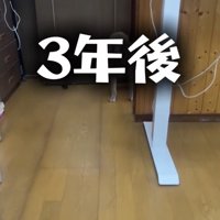 部屋の奥に立つ犬