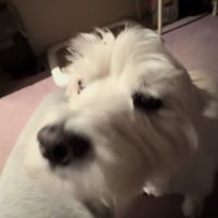 やっとのことで到着♡