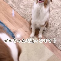 「僕も抱っこして」