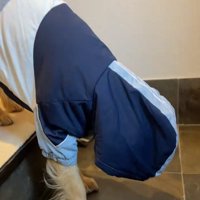 フードで顔が隠れたならちゃん