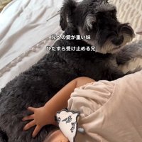 こたろう君を撫でる女の子2