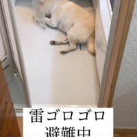 「音も聞こえないしさ…」