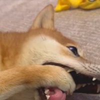 まさかの
