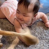 犬の方を見て笑顔になる赤ちゃん