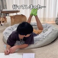 宿題中の男の子とココちゃん5