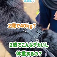 あざちゃんに興味津々！！