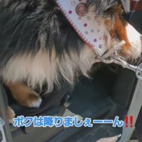 豪快な行動にビックリ