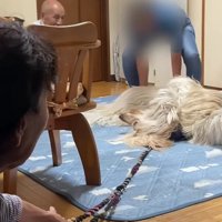 半ば強制的に連れ出すことに