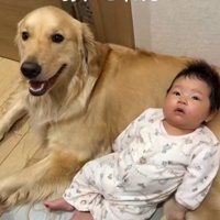 犬の体に寝る赤ちゃん1