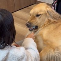 ムキ顔のルークくん