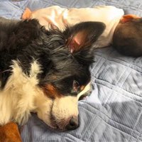 赤ちゃんが寝ている時も隣に