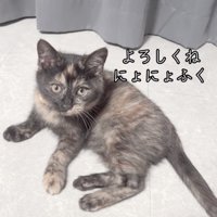 仲良くなれるかな？