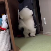 健気で可愛いむにちゃんでした