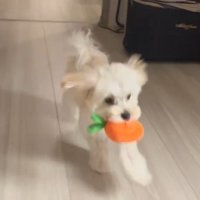 病院で診てもらったら…？