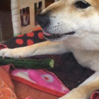 みんなの胸に生き続けています