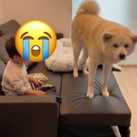 テレビを見たい男の子