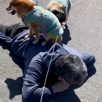 転んだお父さん